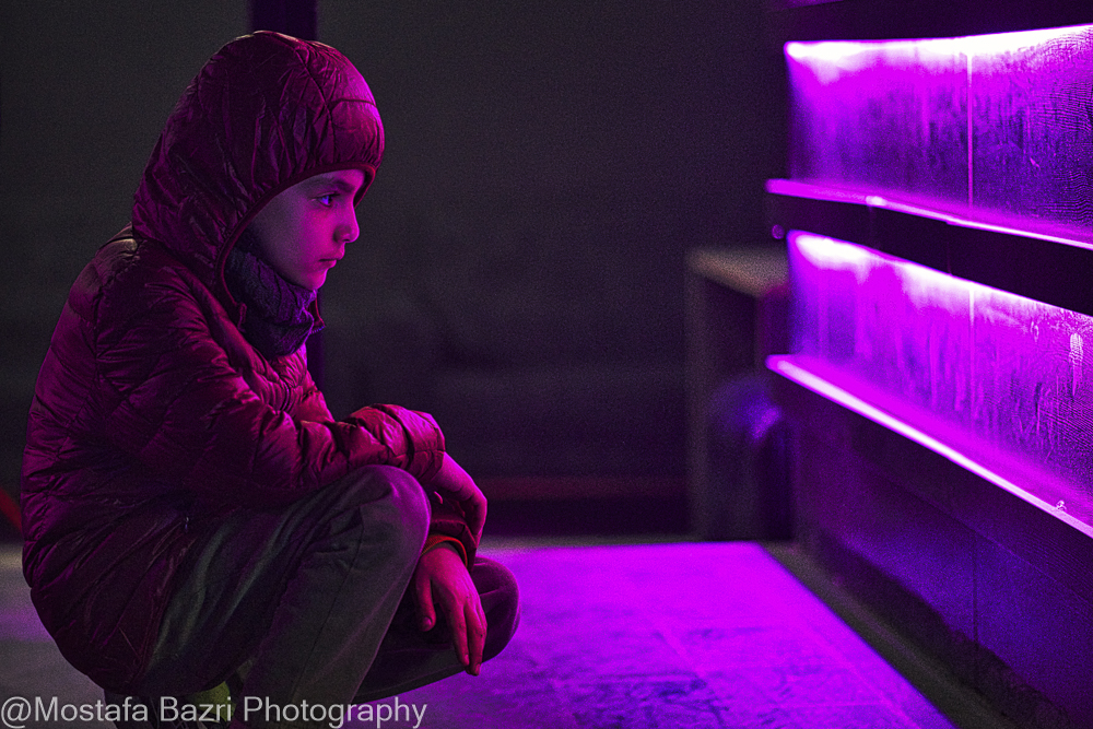 Mostafa Bazri-Aban 1404-1000--3.jpg