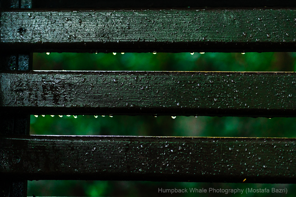 Mashad Street Portraits-3309.jpg