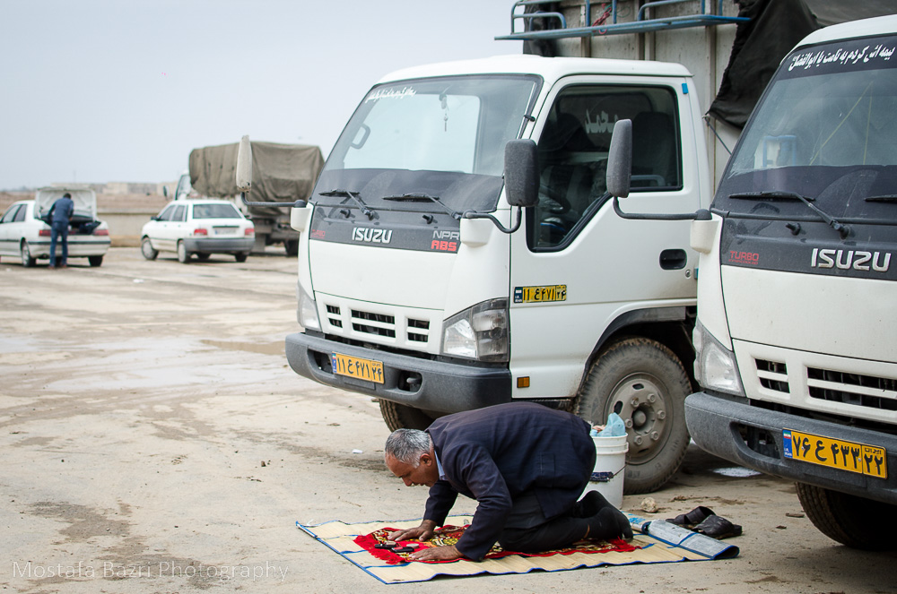 arabhorses-1000 (23 of 29).jpg