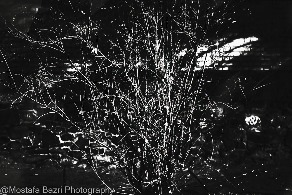 N-Mostafa Bazri-Aban 1404-1000 Night-16.jpg