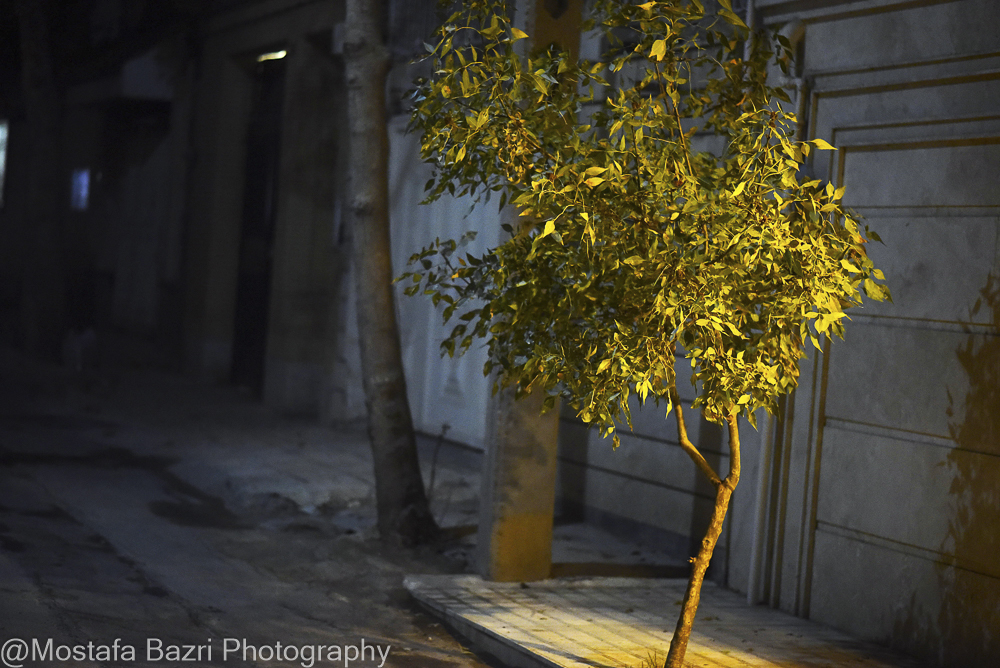 Mostafa Bazri-Aban 1404-1000-7916.jpg