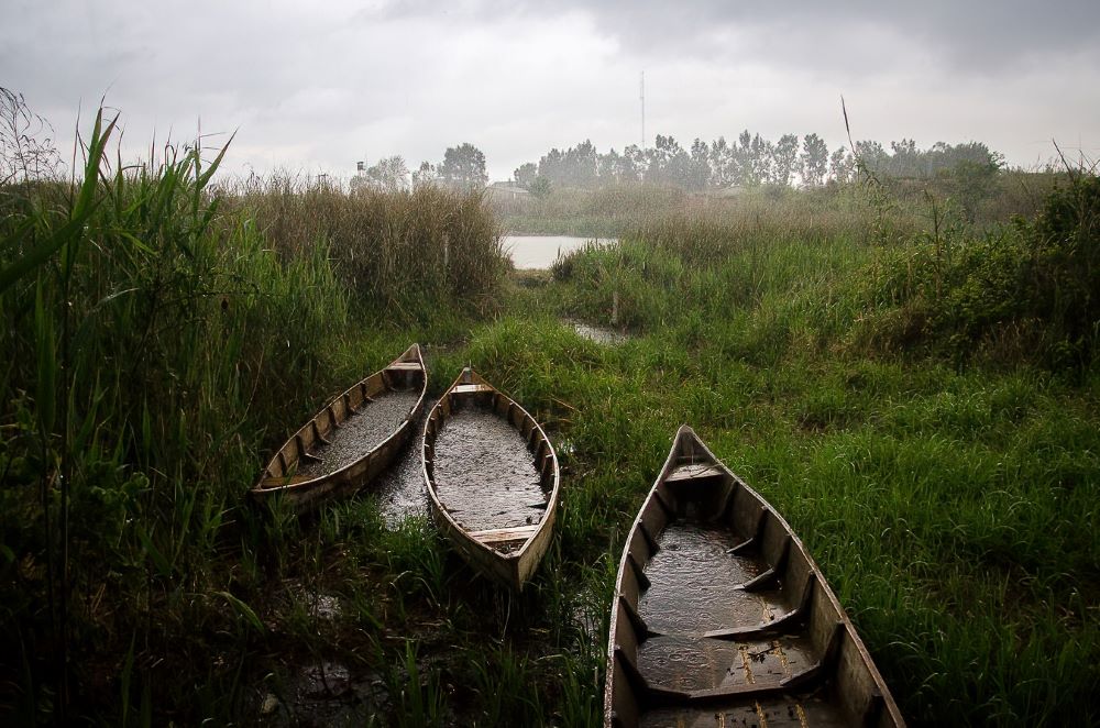 baran ghayegh-denoise۱000.jpg