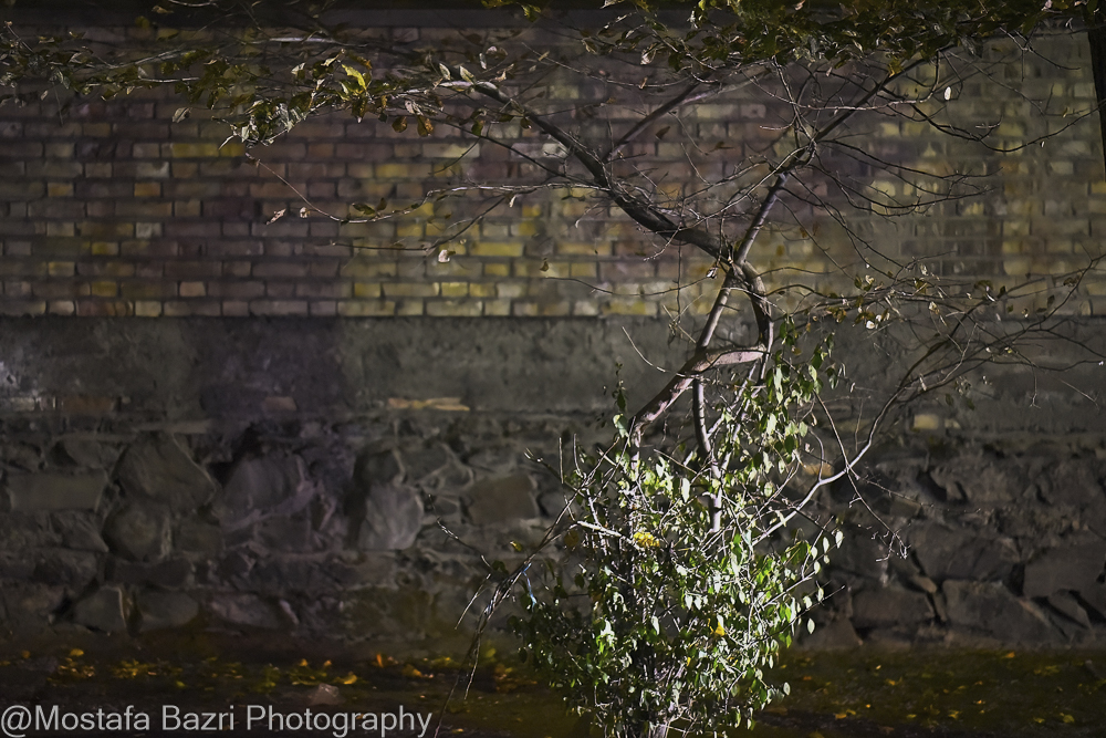 N-Mostafa Bazri-Aban 1404-1000 Night-13.jpg